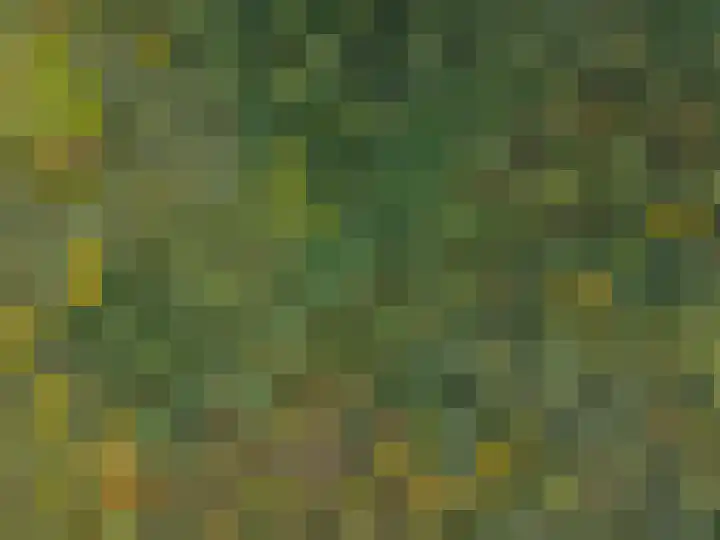 Annerweg 4 Eext thumbnail 70