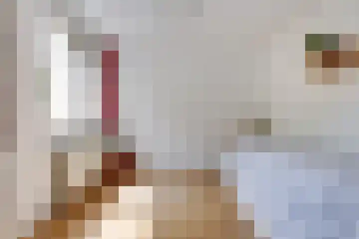Annie M.G. Schmidtweg 10 Almere thumbnail 19