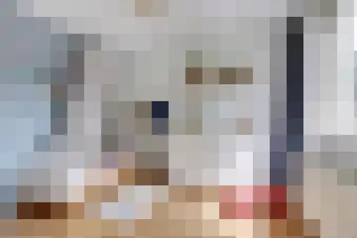 Annie M.G. Schmidtweg 10 Almere thumbnail 23