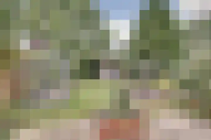Annie M.G. Schmidtweg 10 Almere thumbnail 31