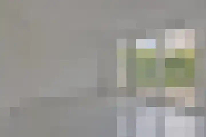 Anodehof 23 Eindhoven thumbnail 10