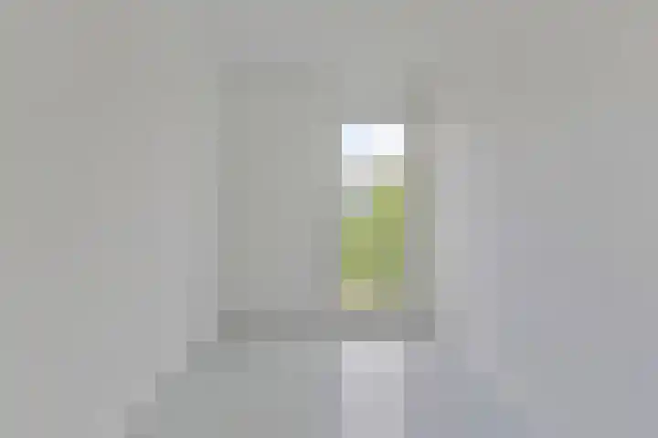 Anodehof 23 Eindhoven thumbnail 16