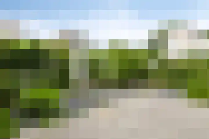 Anodehof 23 Eindhoven thumbnail 19