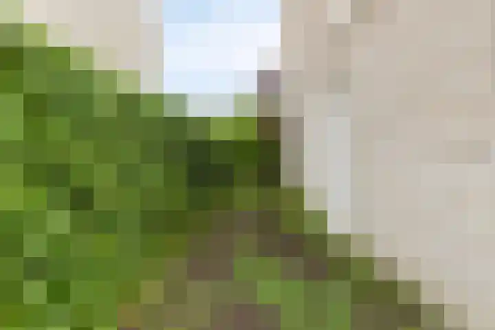 Anodehof 23 Eindhoven thumbnail 22