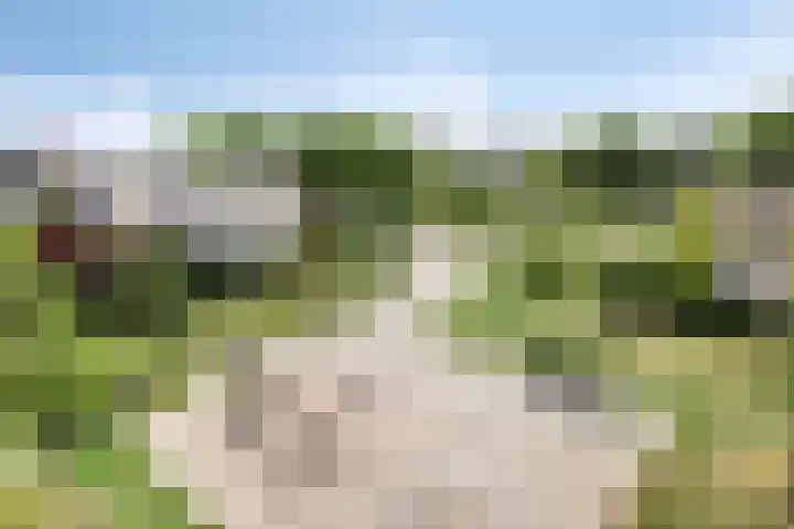 Anodehof 23 Eindhoven thumbnail 24