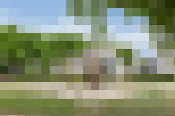 Anodehof 23 Eindhoven thumbnail 25