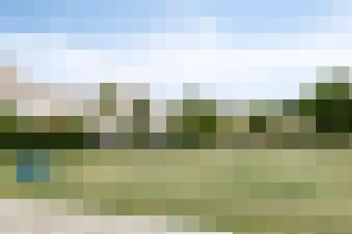 Anodehof 23 Eindhoven thumbnail 26