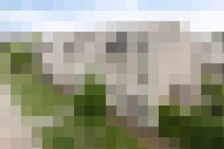 Anodehof 23 Eindhoven thumbnail 32