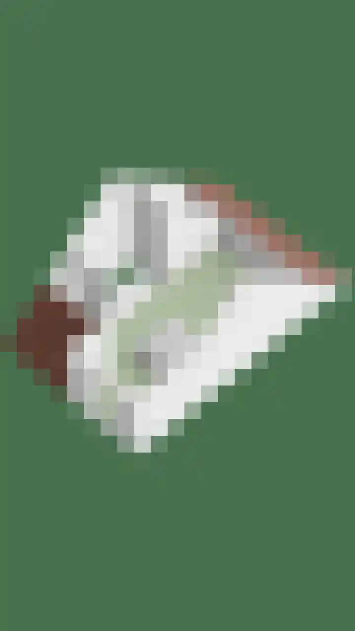 Anodehof 23 Eindhoven thumbnail 38