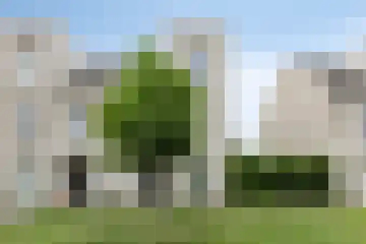 Anodehof 23 Eindhoven thumbnail 5