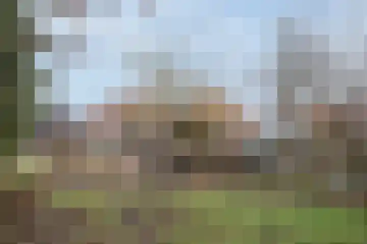 Anreperstraat 134 Assen thumbnail 41