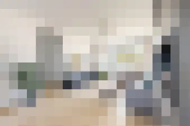 Ansekerke 9 Zevenbergen thumbnail 14