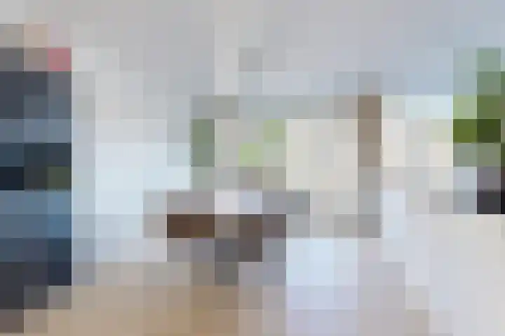 Ansekerke 9 Zevenbergen thumbnail 15