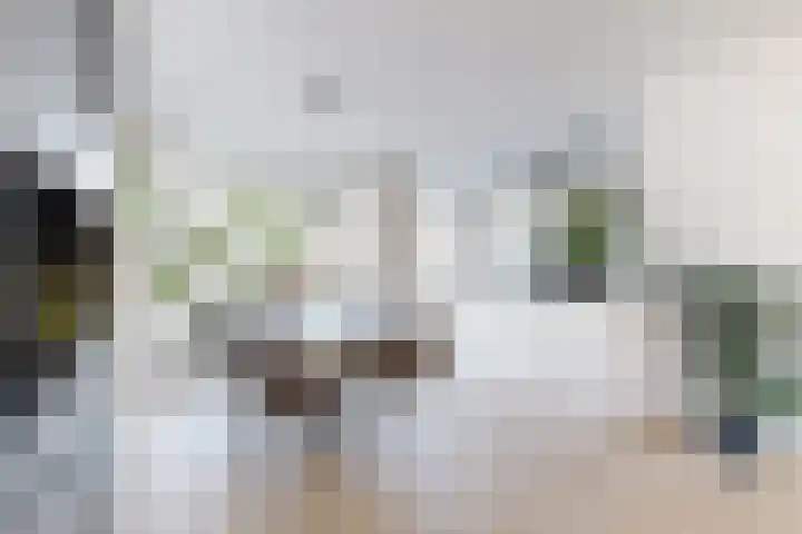 Ansekerke 9 Zevenbergen thumbnail 16