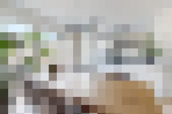 Ansekerke 9 Zevenbergen thumbnail 17