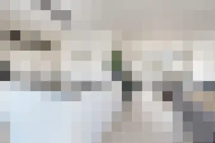 Ansekerke 9 Zevenbergen thumbnail 21
