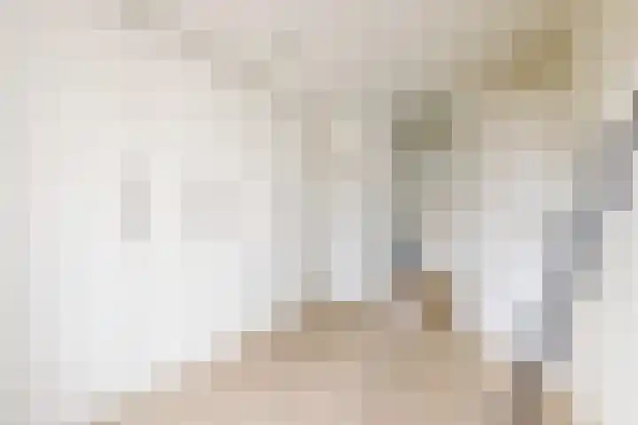 Ansekerke 9 Zevenbergen thumbnail 30