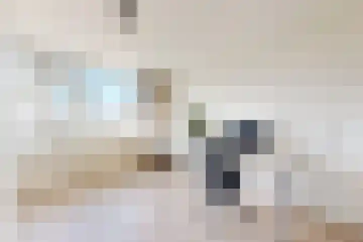 Ansekerke 9 Zevenbergen thumbnail 31