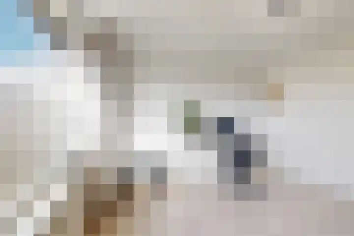 Ansekerke 9 Zevenbergen thumbnail 32