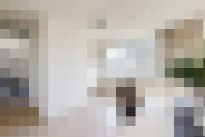 Ansekerke 9 Zevenbergen thumbnail 33