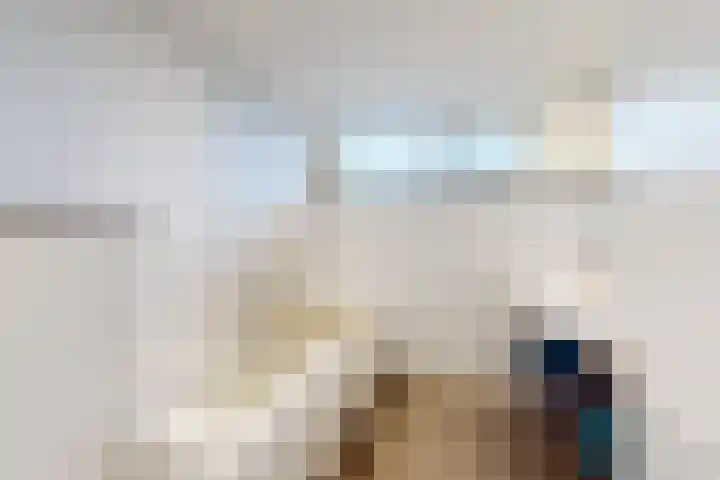 Ansekerke 9 Zevenbergen thumbnail 35