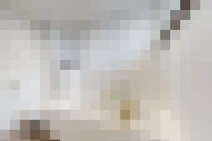 Ansekerke 9 Zevenbergen thumbnail 36