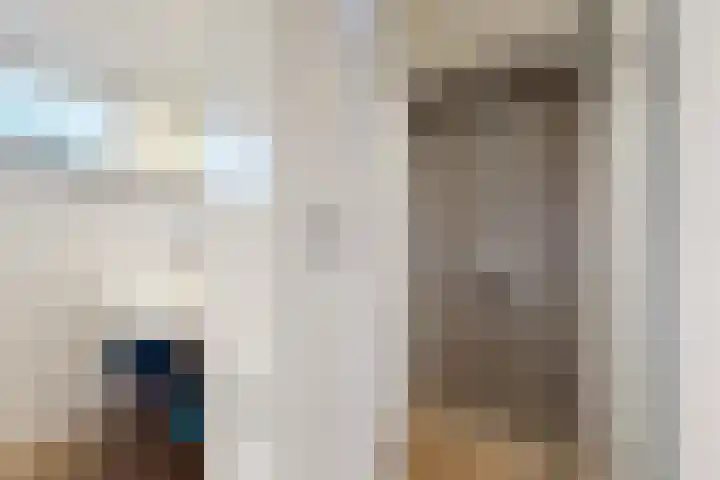 Ansekerke 9 Zevenbergen thumbnail 37