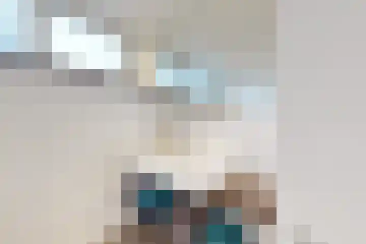 Ansekerke 9 Zevenbergen thumbnail 38