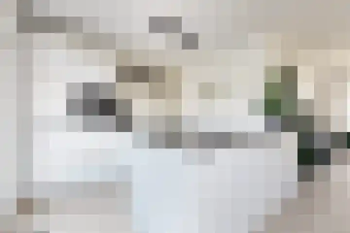 Ansekerke 9 Zevenbergen thumbnail 4