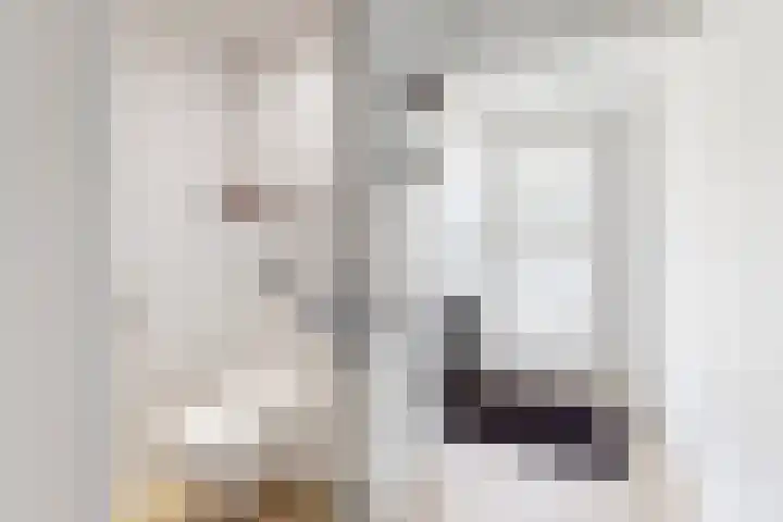 Ansekerke 9 Zevenbergen thumbnail 8