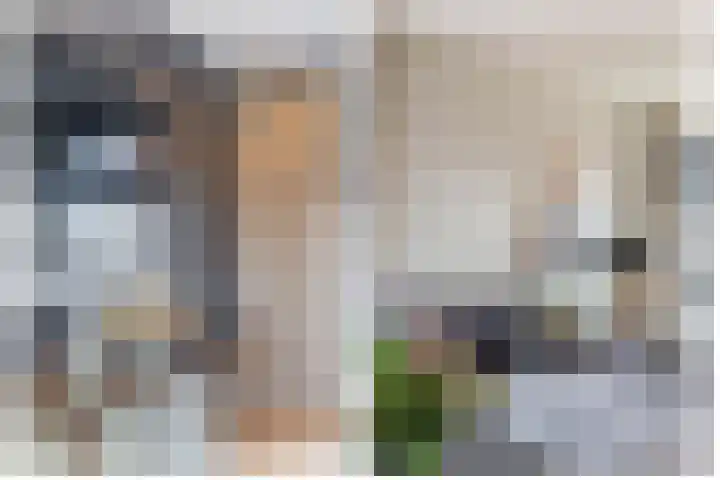 Ansemhoek 1 Helmond thumbnail 15