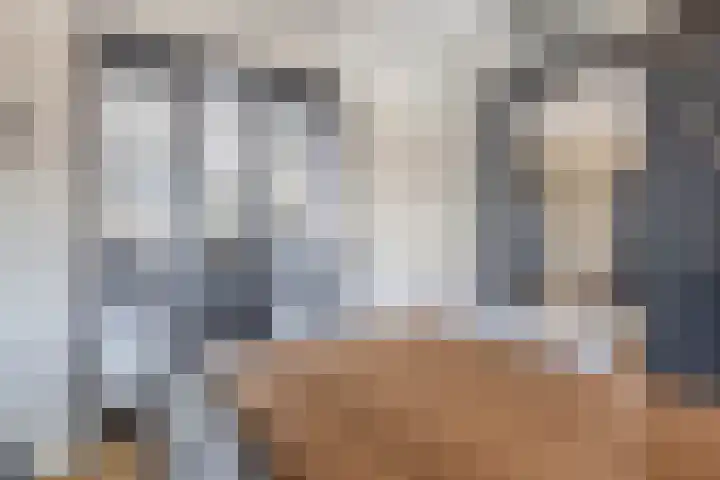 Ansemhoek 1 Helmond thumbnail 31