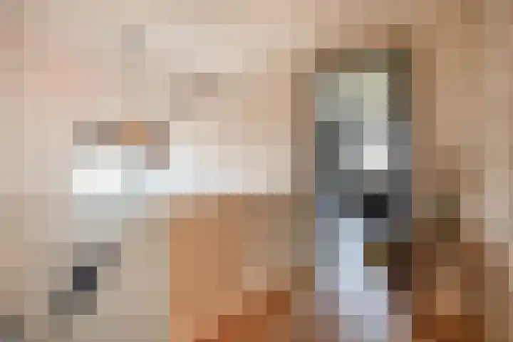 Ansemhoek 1 Helmond thumbnail 38