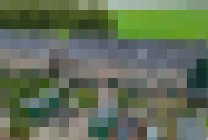 Ansjoviskade 64 en Kolhorn