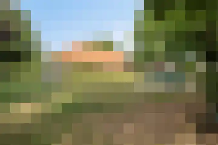 Antenburgt 45 Heesch thumbnail 37