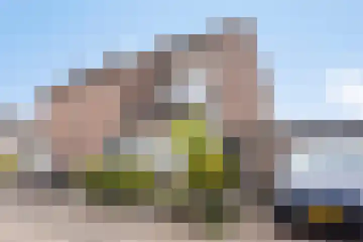 Antenburgt 45 Heesch thumbnail 38