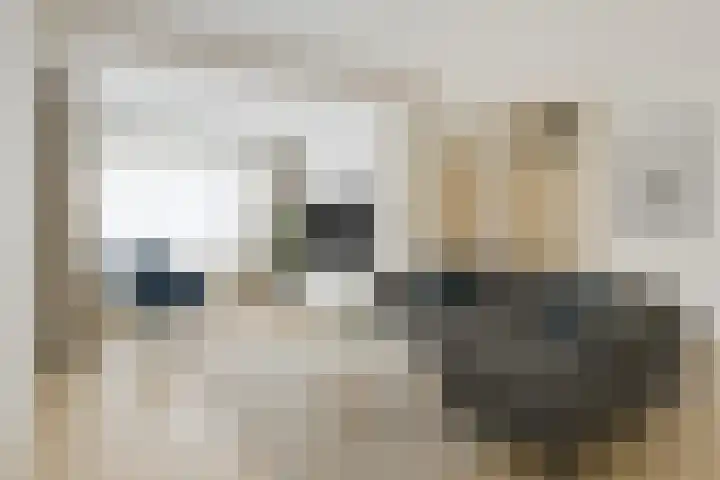 Antenburgt 45 Heesch thumbnail 8