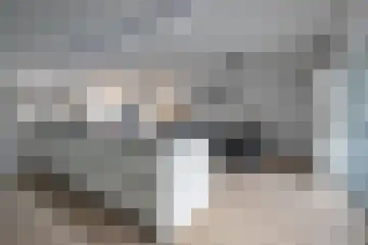 Anthemiahof 28 Nuth thumbnail 10