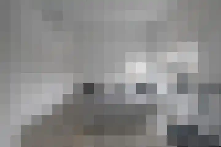 Anthemiahof 28 Nuth thumbnail 18