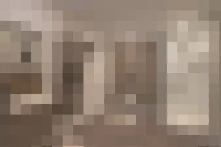 Anthemiahof 28 Nuth thumbnail 20
