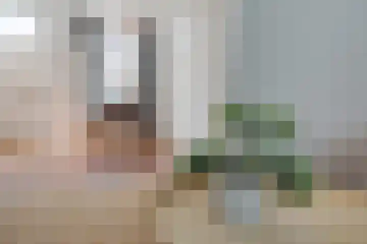 Anthoniedijk 6 Utrecht thumbnail 10