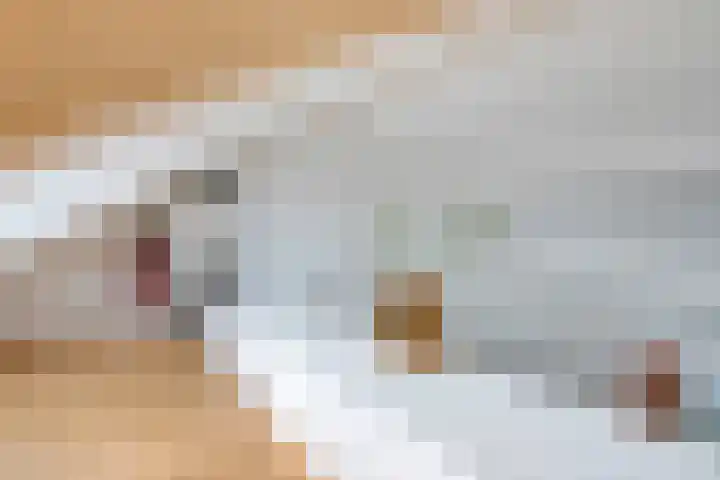 Anthoniedijk 6 Utrecht thumbnail 17