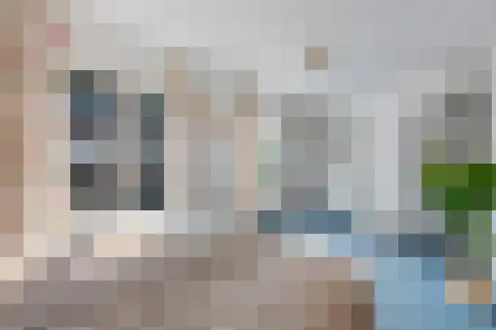 Anthoniedijk 6 Utrecht thumbnail 4