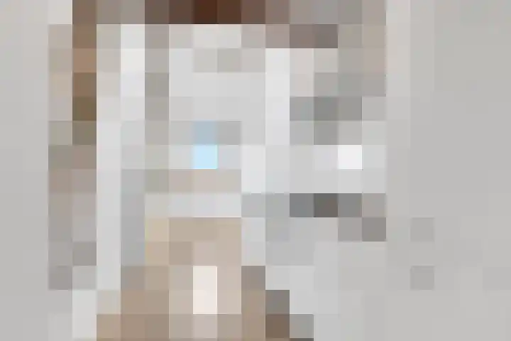 Anthoniedijk 9 N Utrecht thumbnail 12