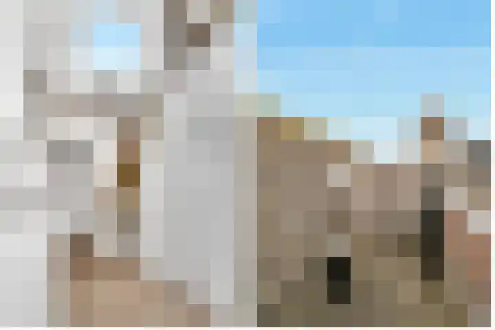Anthoniedijk 9 N Utrecht thumbnail 18
