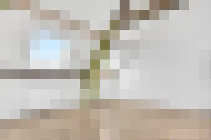Anthoniedijk 9 N Utrecht thumbnail 4