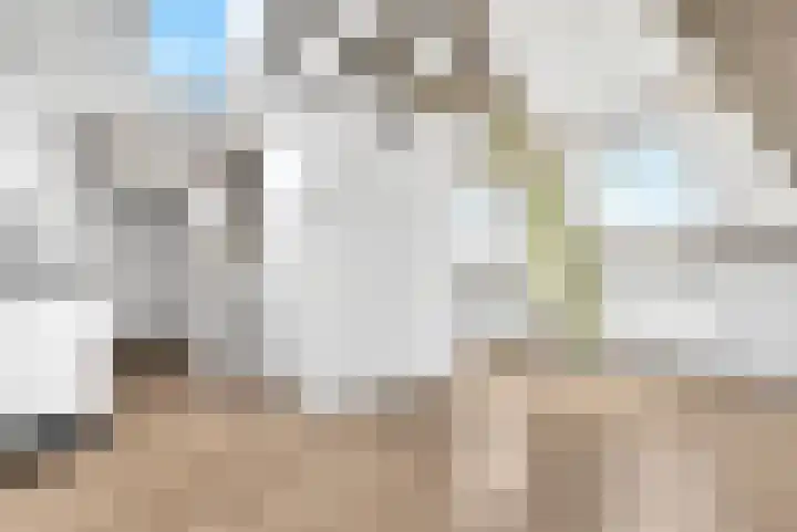 Anthoniedijk 9 N Utrecht thumbnail 5