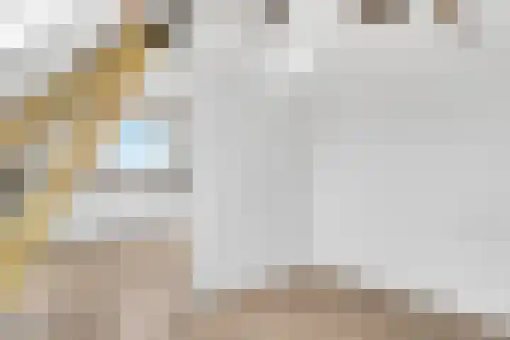 Anthoniedijk 9 N Utrecht thumbnail 8