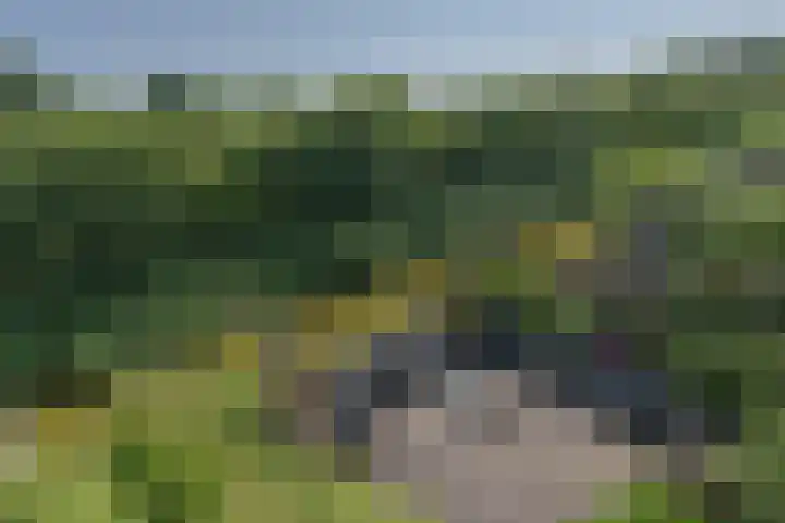 Anthony Edenlaan 21 Goes thumbnail 54