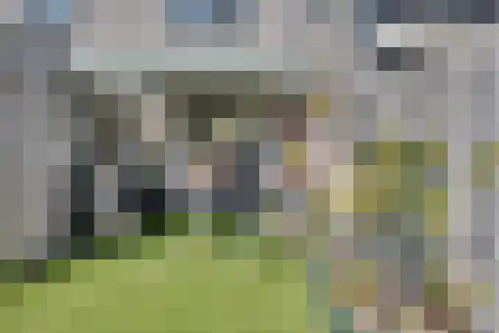 Anthony Edenlaan 21 Goes thumbnail 8